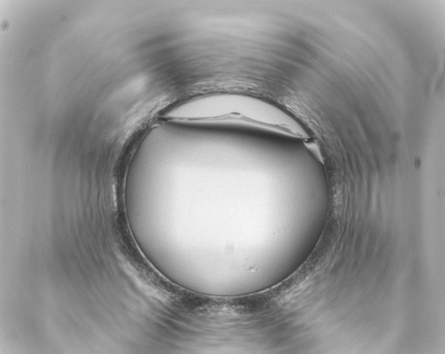 X0000088620254200706221503