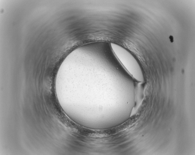 X0000088620255200706221503