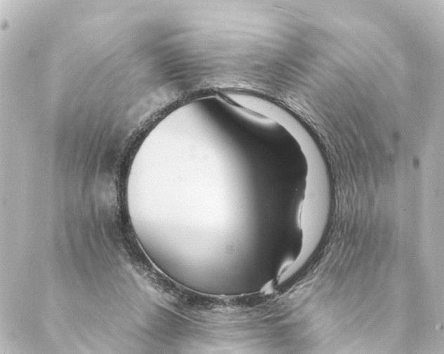 X0000088620256200706221503