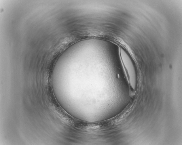 X0000088620257200706221503