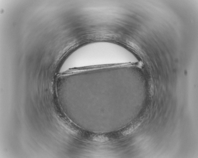 X0000088620258200706221503