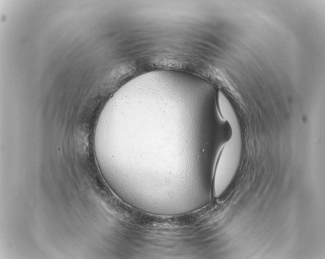 X0000088620259200706221503