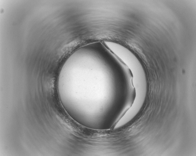 X0000088620260200706221503