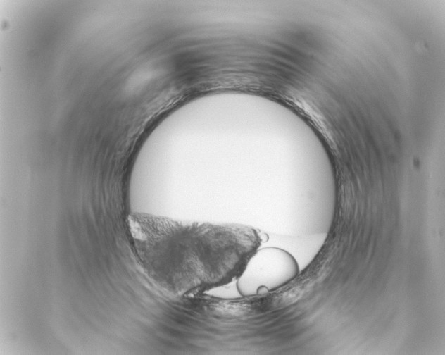 X0000088620261200706221503