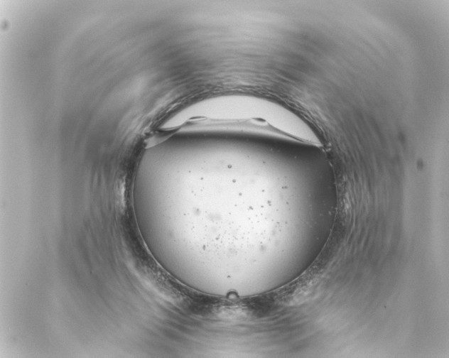 X0000088620262200706221503