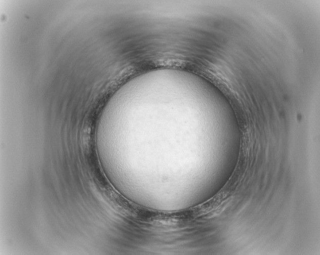 X0000088620263200706221503