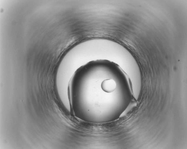 X0000088620264200706221503