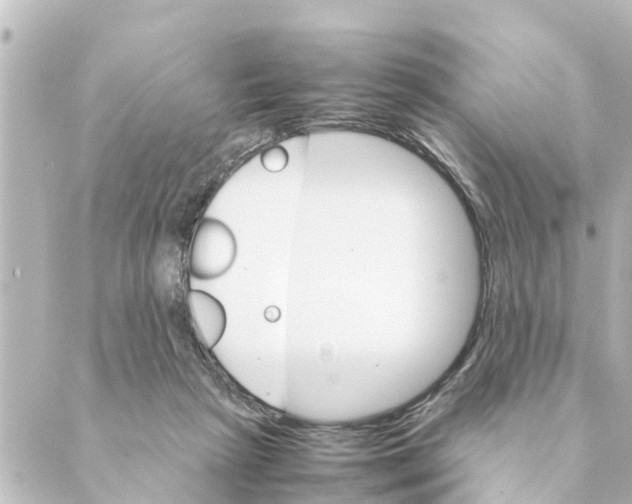 X0000088620265200706221503