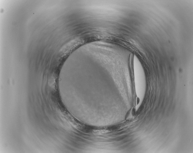 X0000088620266200706221503