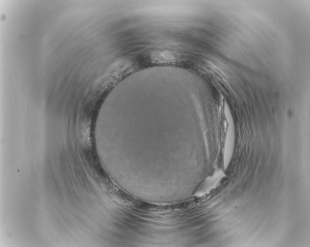 X0000088620267200706221503