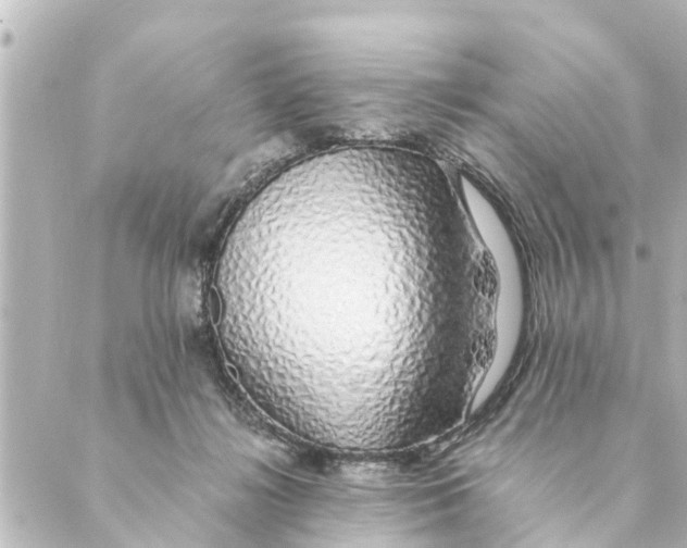 X0000088620268200706221503