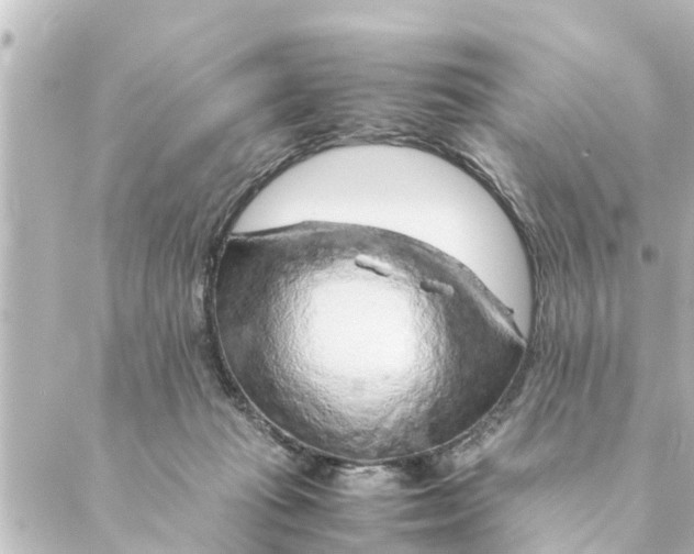 X0000088620269200706221503