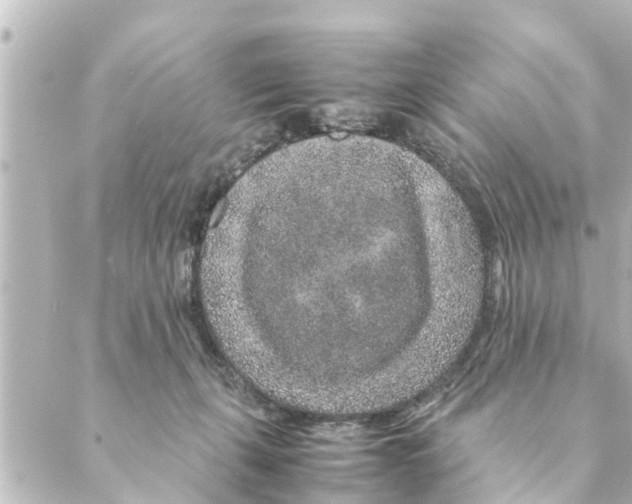 X0000088620271200706221503