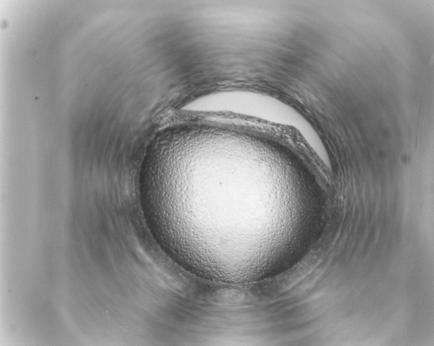 X0000088620272200706221503