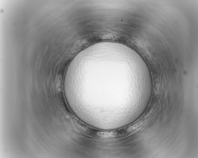 X0000088620273200706221503