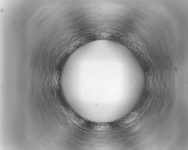 X0000088620274200706221503