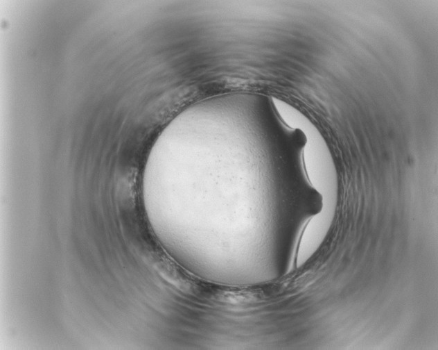 X0000088620275200706221503