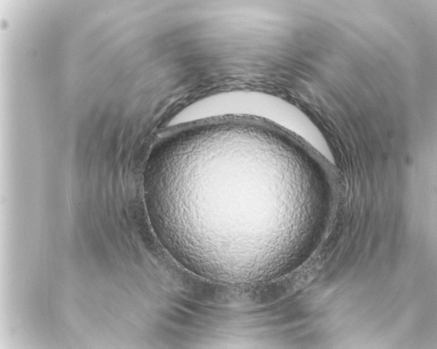 X0000088620276200706221503