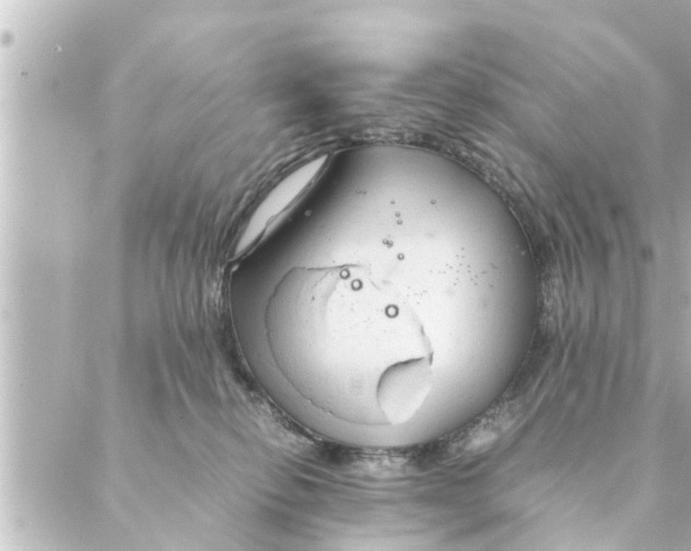 X0000088620278200706221503