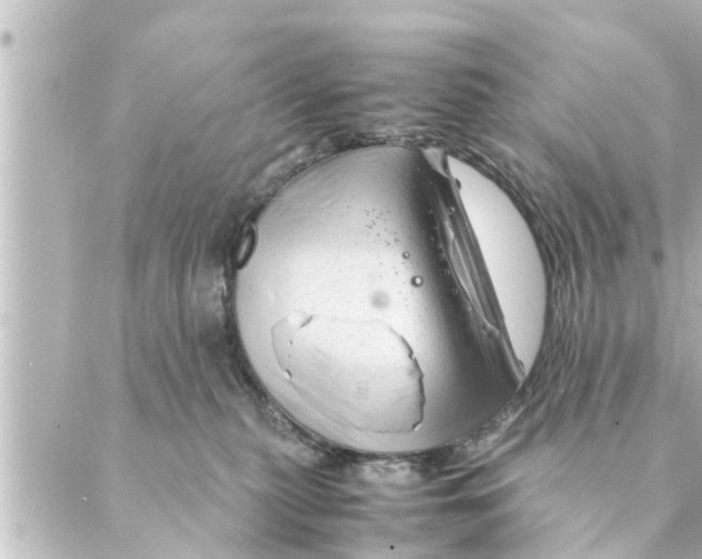 X0000088620279200706221503