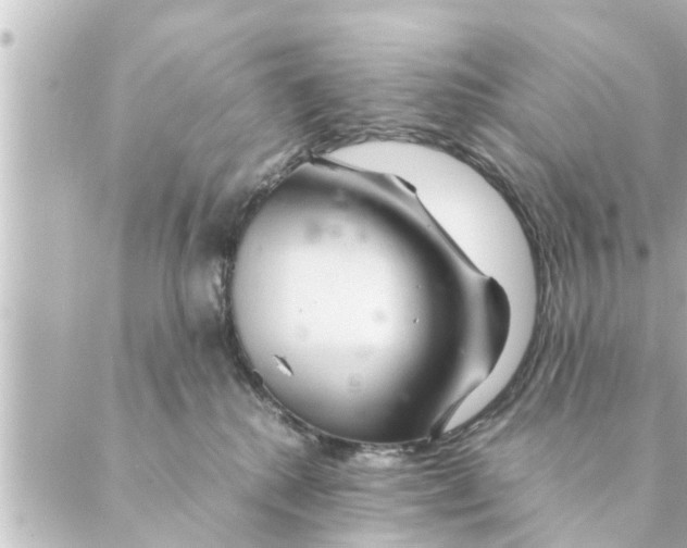 X0000088620280200706221503