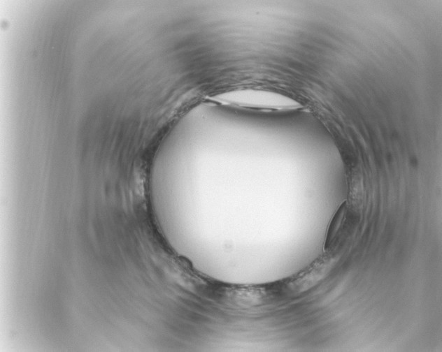 X0000088620282200706221503