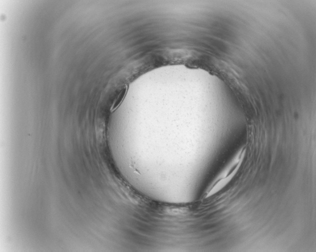 X0000088620283200706221503