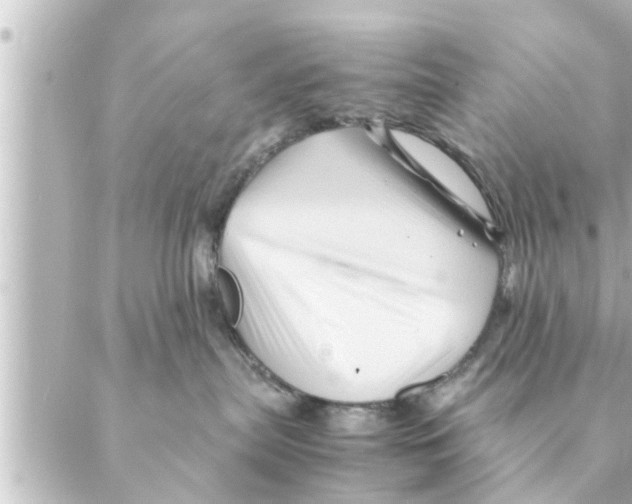 X0000088620287200706221503