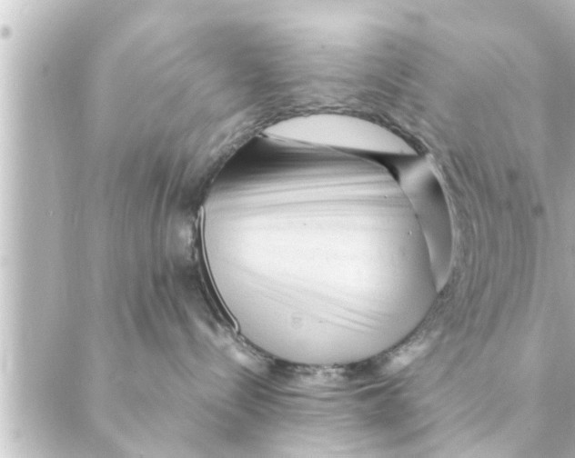 X0000088620288200706221503