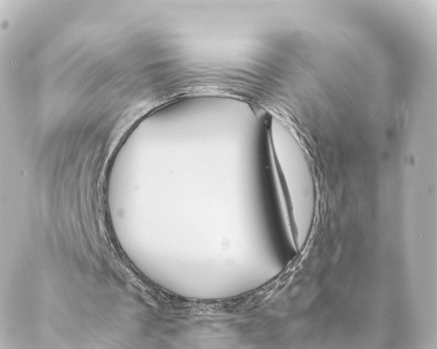 X0000088620289200706221502