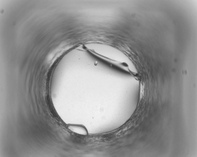 X0000088620291200706221502