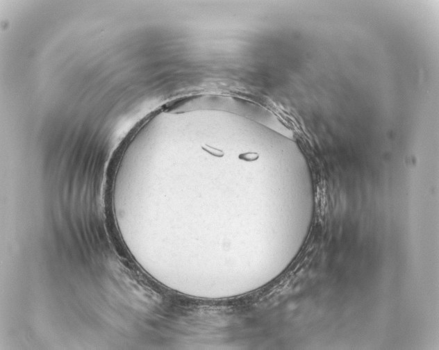 X0000088620292200706221502