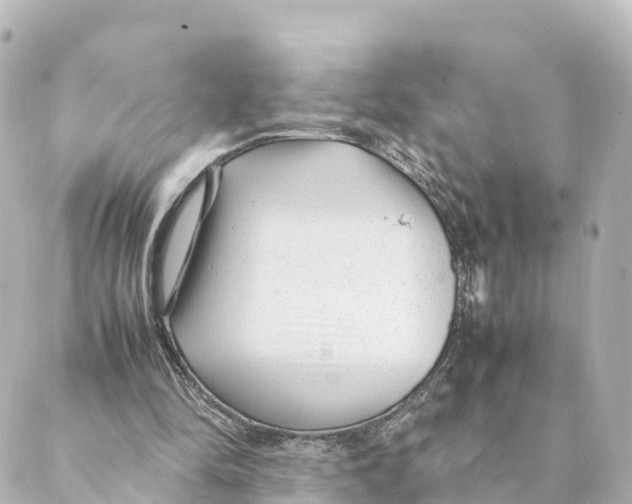 X0000088620294200706221502