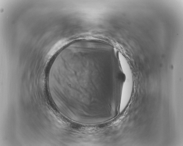 X0000088620295200706221502