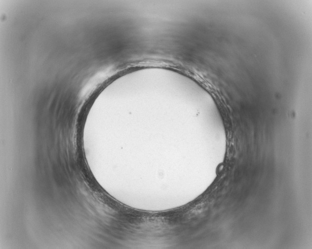 X0000088620296200706221502