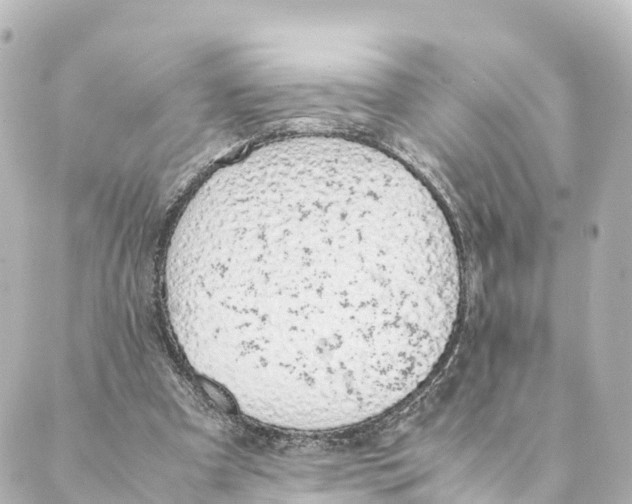 X0000088620297200706221502