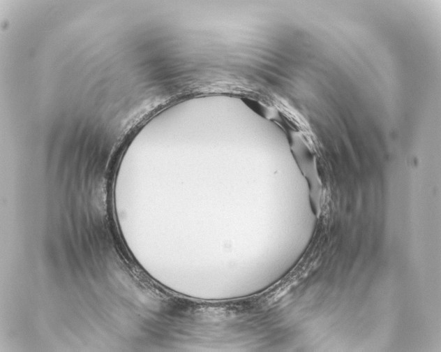 X0000088620298200706221502