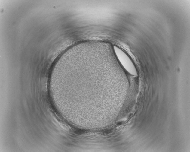 X0000088620299200706221502