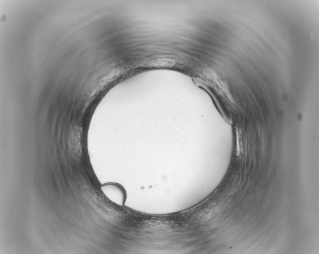 X0000088620300200706221502