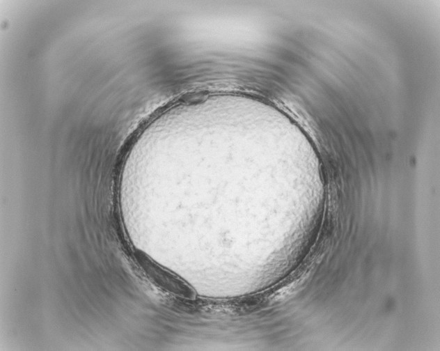 X0000088620301200706221502