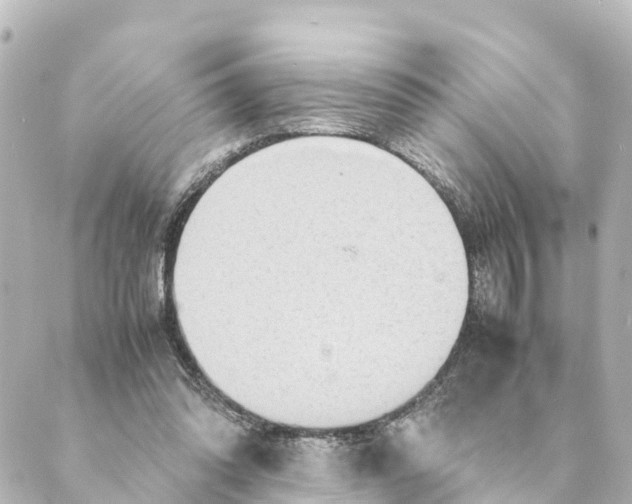 X0000088620302200706221502