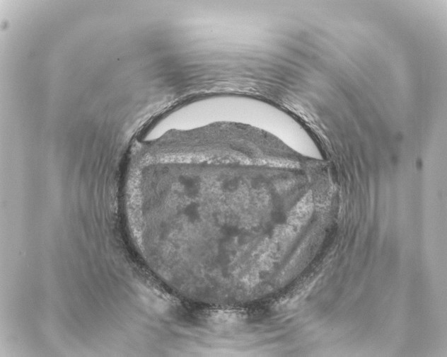 X0000088620303200706221502