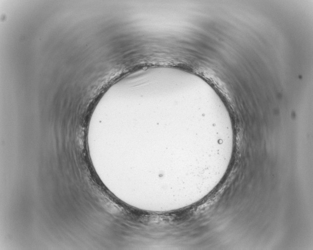 X0000088620305200706221502