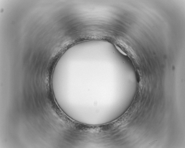 X0000088620306200706221502