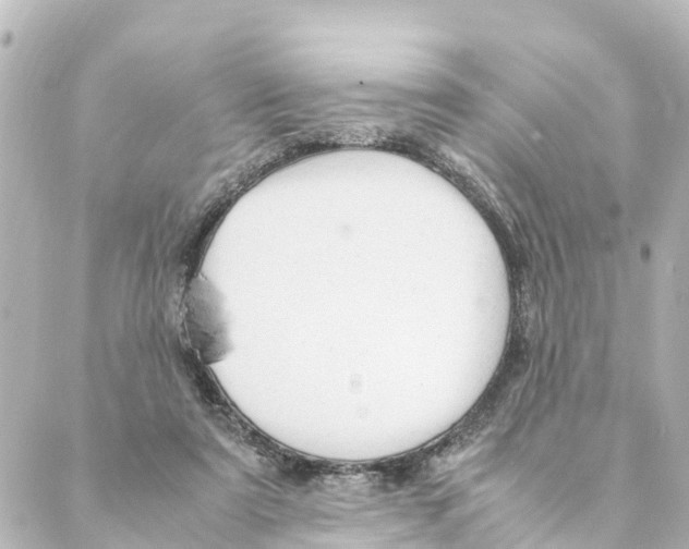 X0000088620307200706221502