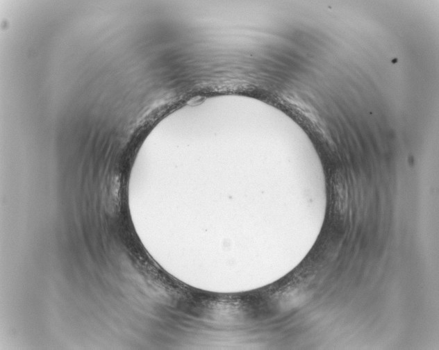 X0000088620308200706221502