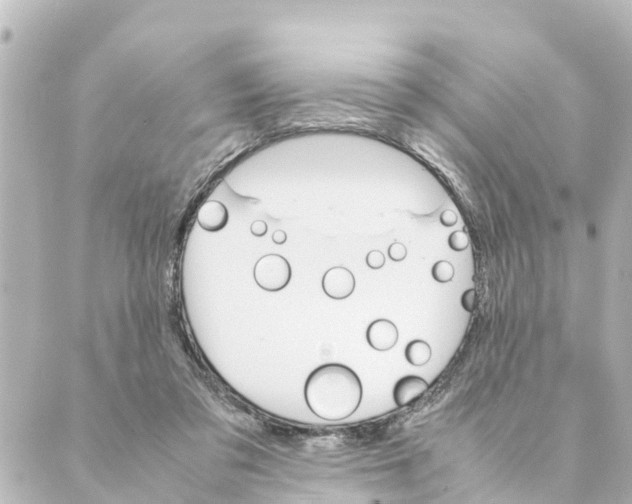 X0000088620309200706221502