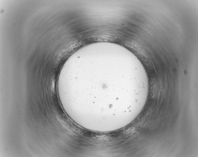 X0000088620310200706221502