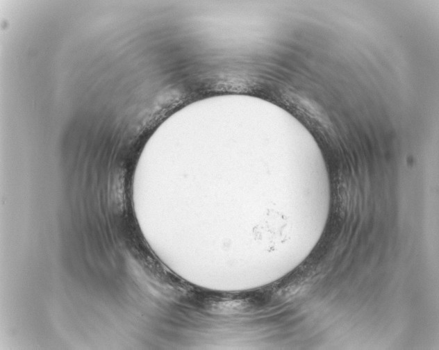 X0000088620312200706221502