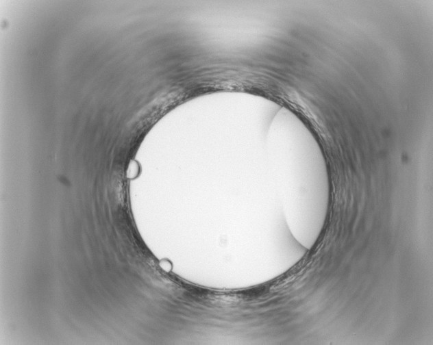 X0000088620313200706221502